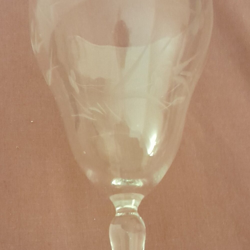 Vintage Etched Crystal Wine Glasses/Water Goblets